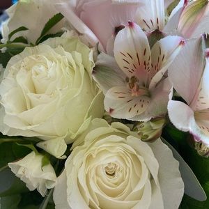 Meet your Posher, Brandy